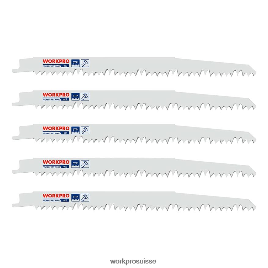 Ensemble de 5 lames de scie alternative pour l'élagage du bois de 9 pouces Z2LXTF208 utile WORKPRO outil