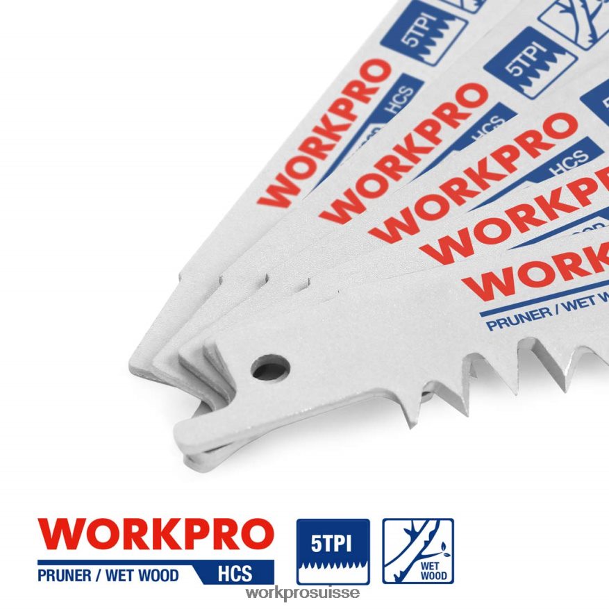 Ensemble de 5 lames de scie alternative pour l'élagage du bois de 9 pouces Z2LXTF208 utile WORKPRO outil