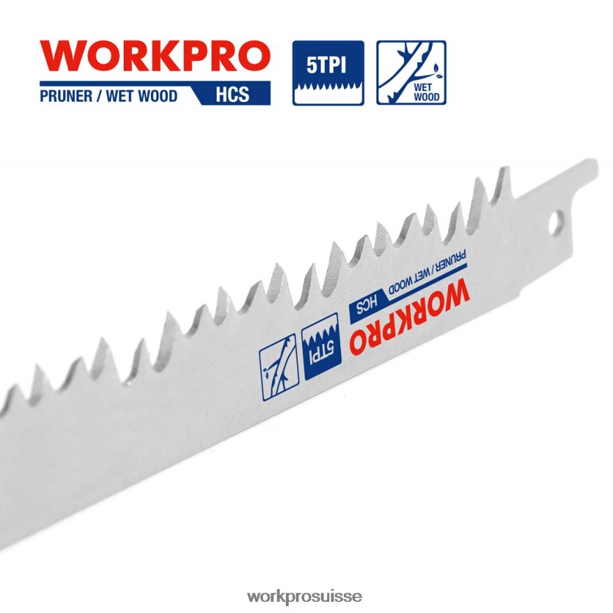 Ensemble de 5 lames de scie alternative pour l'élagage du bois de 9 pouces Z2LXTF208 utile WORKPRO outil