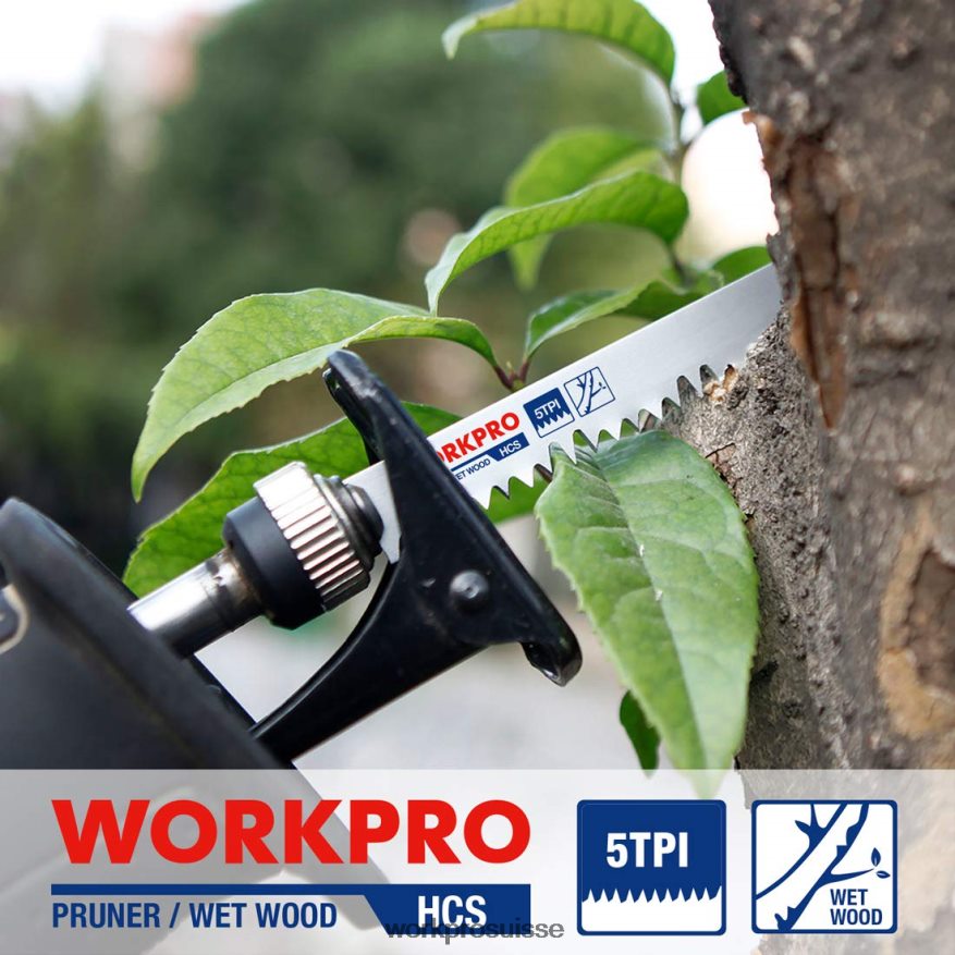 Ensemble de 5 lames de scie alternative pour l'élagage du bois de 9 pouces Z2LXTF208 utile WORKPRO outil