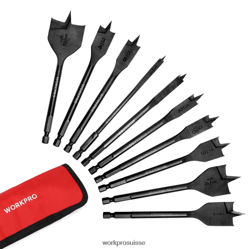Jeu de 10 forets à fourche professionnels en acier au carbone de qualité supérieure Z2LXTF192 utile WORKPRO outil