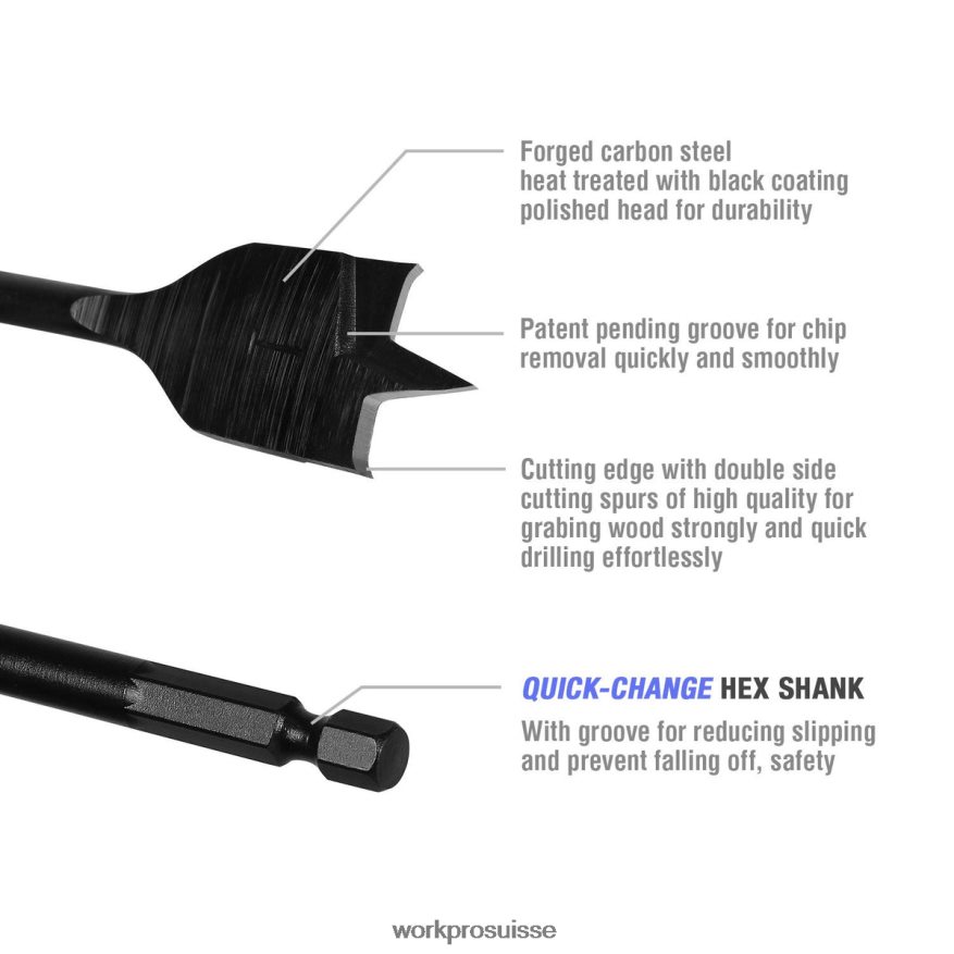Jeu de 10 forets à fourche professionnels en acier au carbone de qualité supérieure Z2LXTF192 utile WORKPRO outil