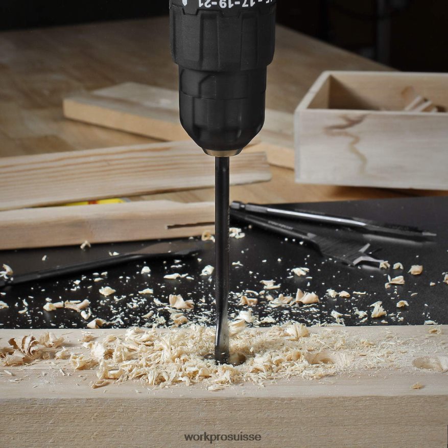 Jeu de 10 forets à fourche professionnels en acier au carbone de qualité supérieure Z2LXTF192 utile WORKPRO outil