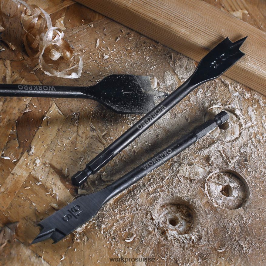Jeu de 10 forets à fourche professionnels en acier au carbone de qualité supérieure Z2LXTF192 utile WORKPRO outil