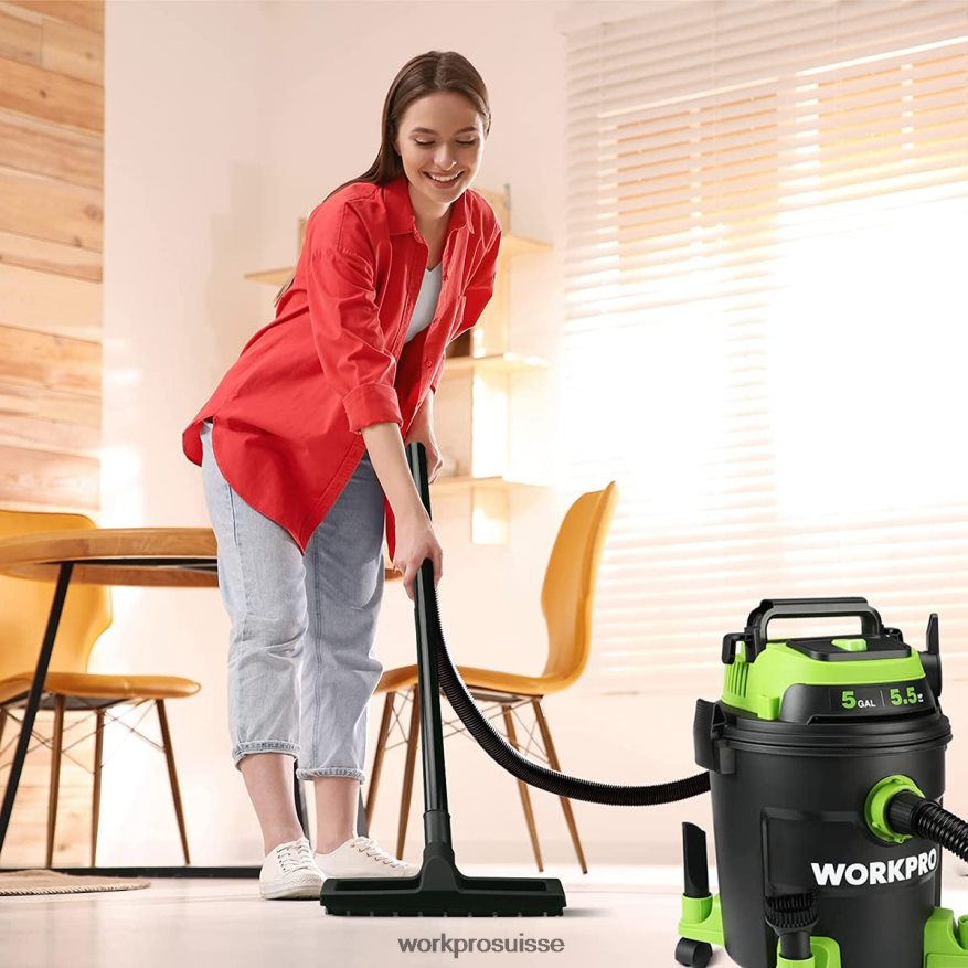 Aspirateur d'atelier de 5 gallons, aspirateur d'atelier d'une puissance maximale de 5,5 chevaux avec filtre HEPA, tuyau et accessoires Z2LXTF214 morden WORKPRO outil