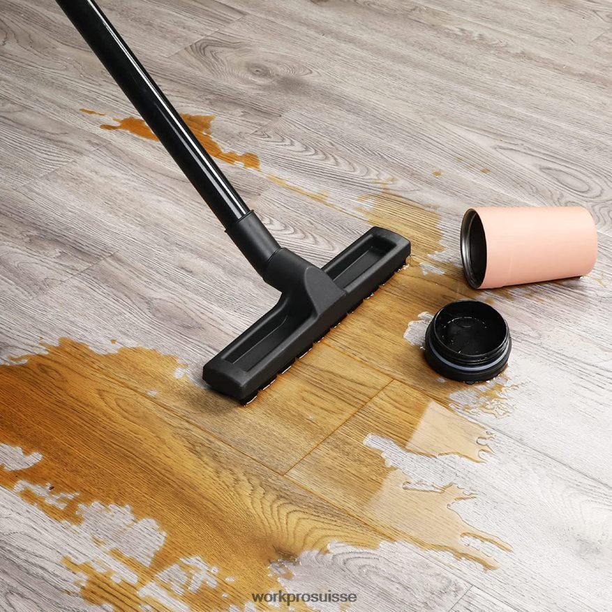 Aspirateur d'atelier sec/humide de 6 gallons avec filtre Hepa, tuyau et accessoires pour la collecte de poussière à la maison/sur chantier Z2LXTF213 morden WORKPRO outil