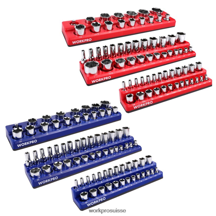organisateur de récipients magnétiques, lot de 6 Z2LXTF126 morden WORKPRO outil
