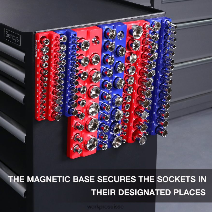 organisateur de récipients magnétiques, lot de 6 Z2LXTF126 morden WORKPRO outil