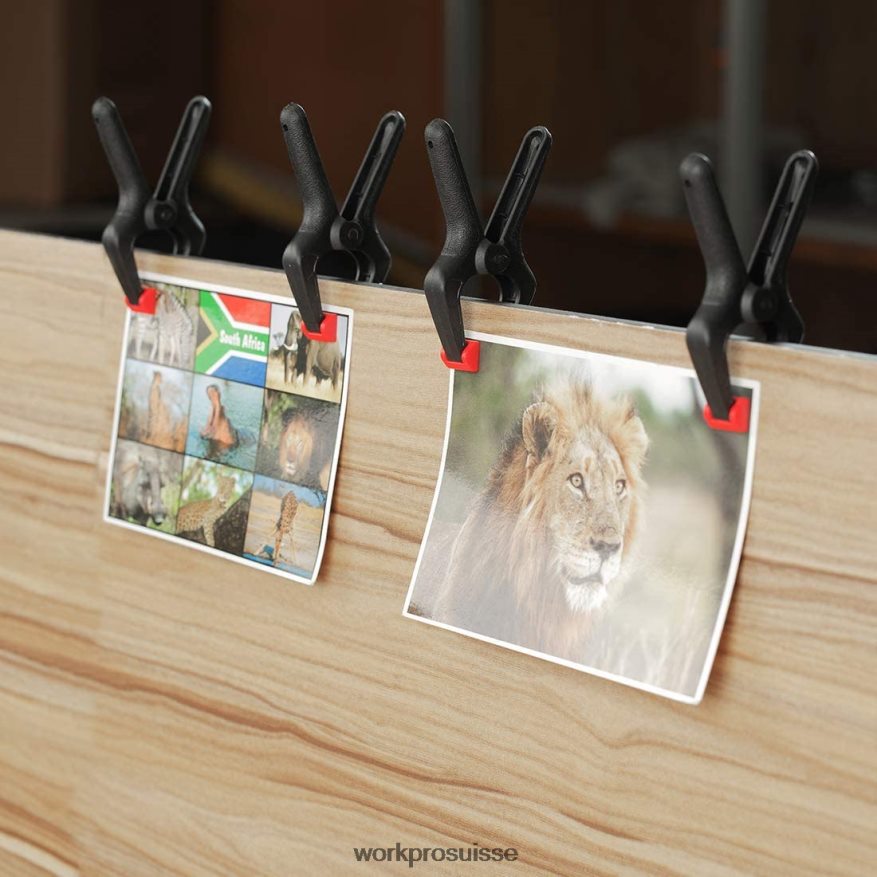 Jeu de 16 pinces à ressort en nylon pour le travail du bois, les studios de photographie et les travaux de bricolage Z2LXTF125 morden WORKPRO outil