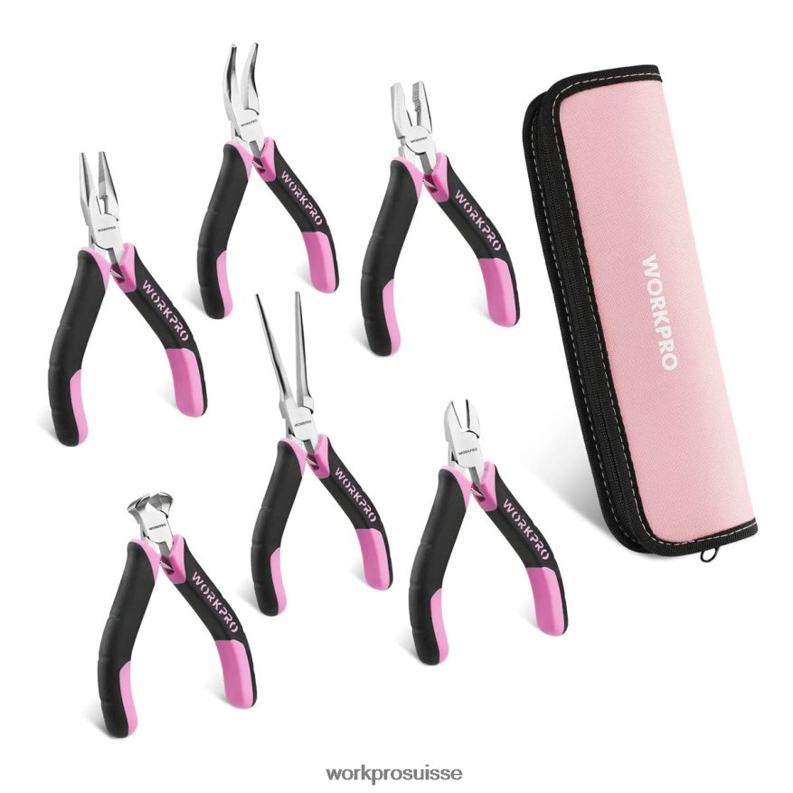 Jeu de 6 mini pinces avec pochette Z2LXTF65 rose WORKPRO outil