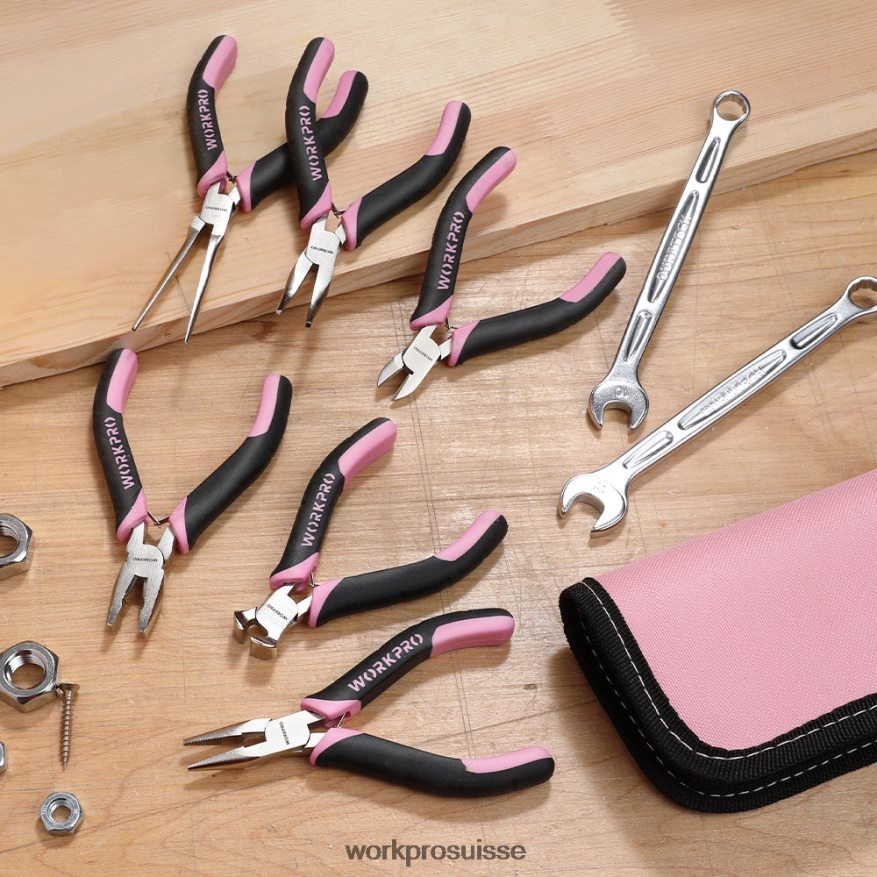 Jeu de 6 mini pinces avec pochette Z2LXTF65 rose WORKPRO outil