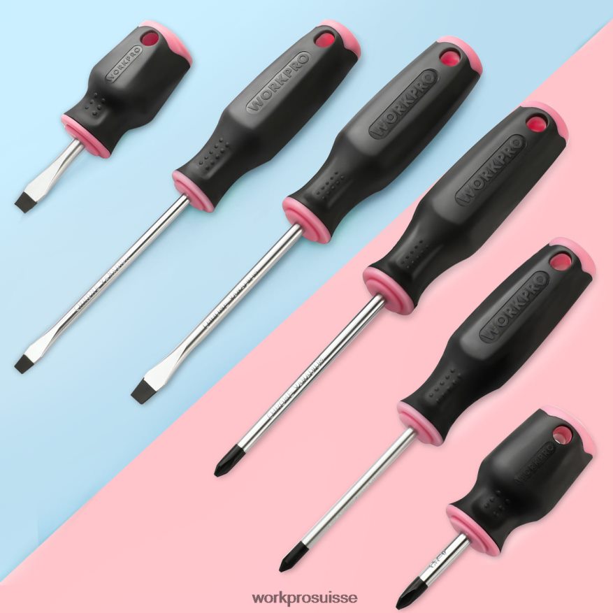 Jeu de 6 tournevis magnétiques Z2LXTF244 rose WORKPRO outil