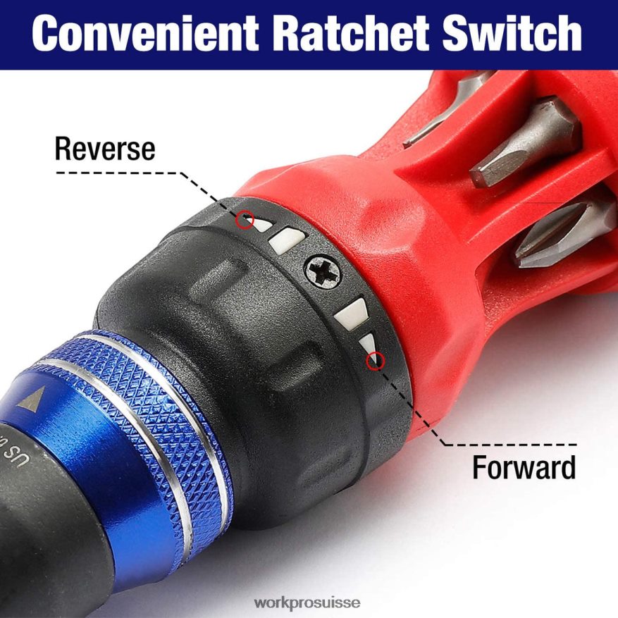 Tournevis à cliquet multi-embouts 12 en 1 à mécanisme de chargement rapide Z2LXTF101 morden WORKPRO outil