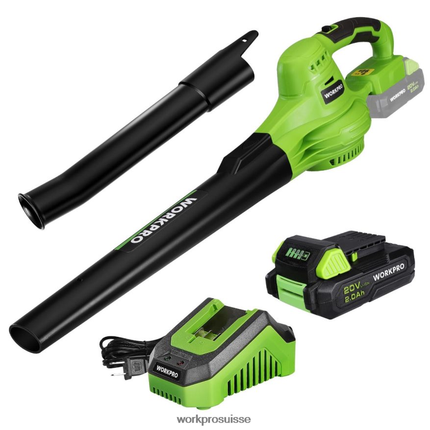Mini souffleur de feuilles sans fil léger 20 V avec batterie et chargeur, commande à 2 vitesses Z2LXTF303 morden WORKPRO outil