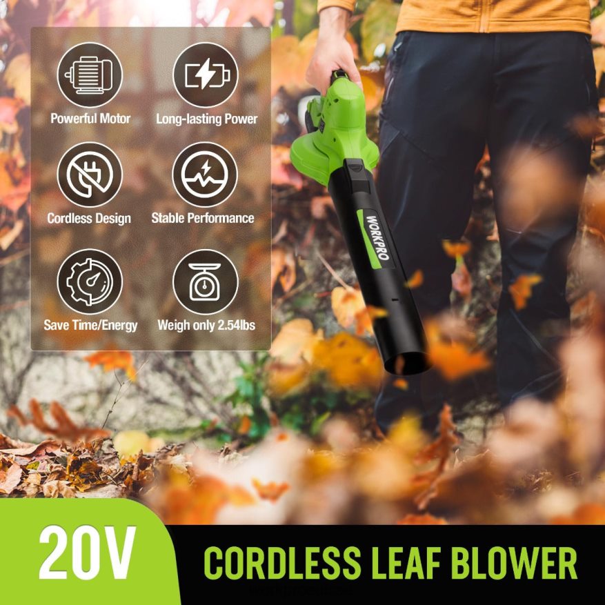 Mini souffleur de feuilles sans fil léger 20 V avec batterie et chargeur, commande à 2 vitesses Z2LXTF303 morden WORKPRO outil