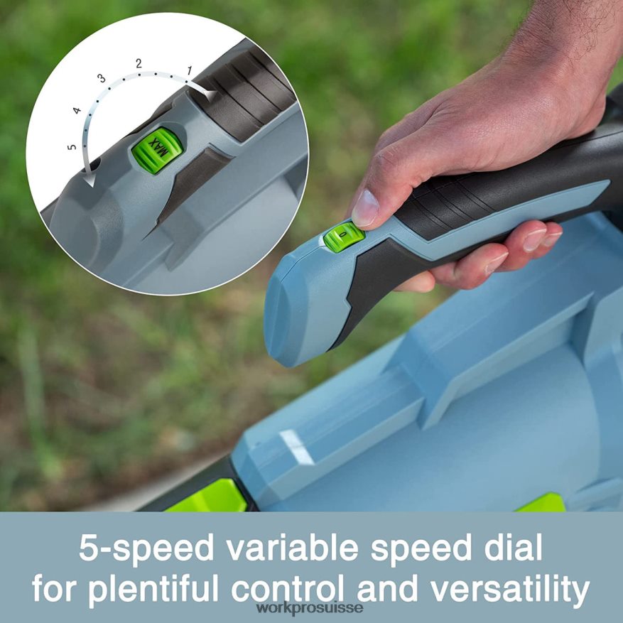 Souffleur de feuilles sans fil 20 V avec 5 vitesses réglables Batterie de plus grande capacité de 4,0 Ah et chargeur rapide inclus Z2LXTF292 utile WORKPRO outil