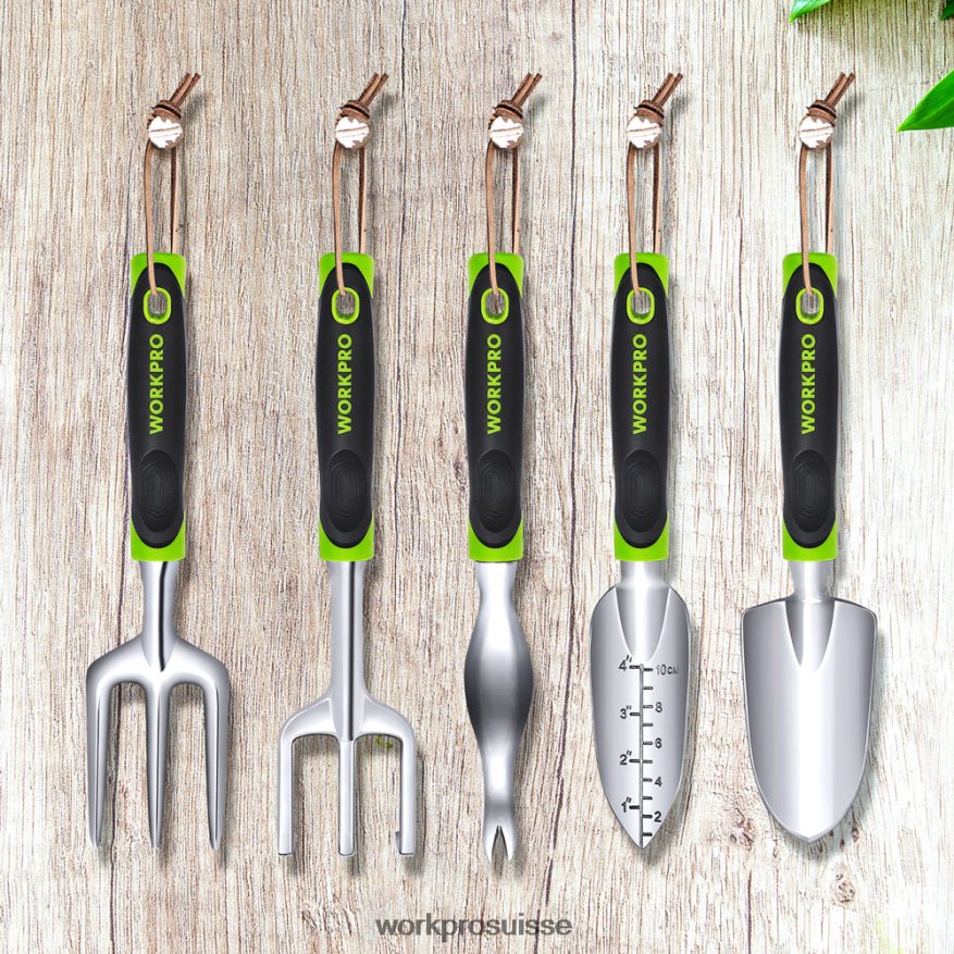 Ensemble d'outils de jardin extérieur 5 pièces, cadeaux de travail de jardinage Z2LXTF276 morden WORKPRO outil