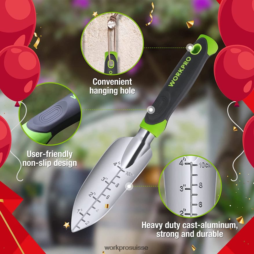 Ensemble d'outils de jardin extérieur 5 pièces, cadeaux de travail de jardinage Z2LXTF276 morden WORKPRO outil