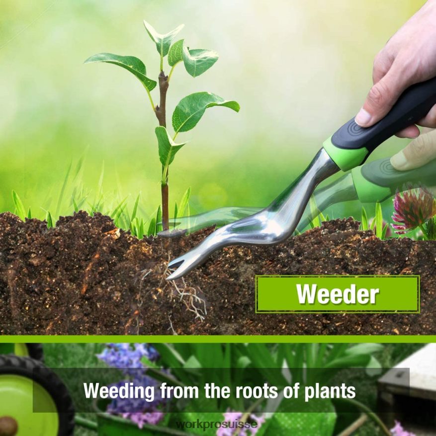 Ensemble d'outils de jardin extérieur 5 pièces, cadeaux de travail de jardinage Z2LXTF276 morden WORKPRO outil