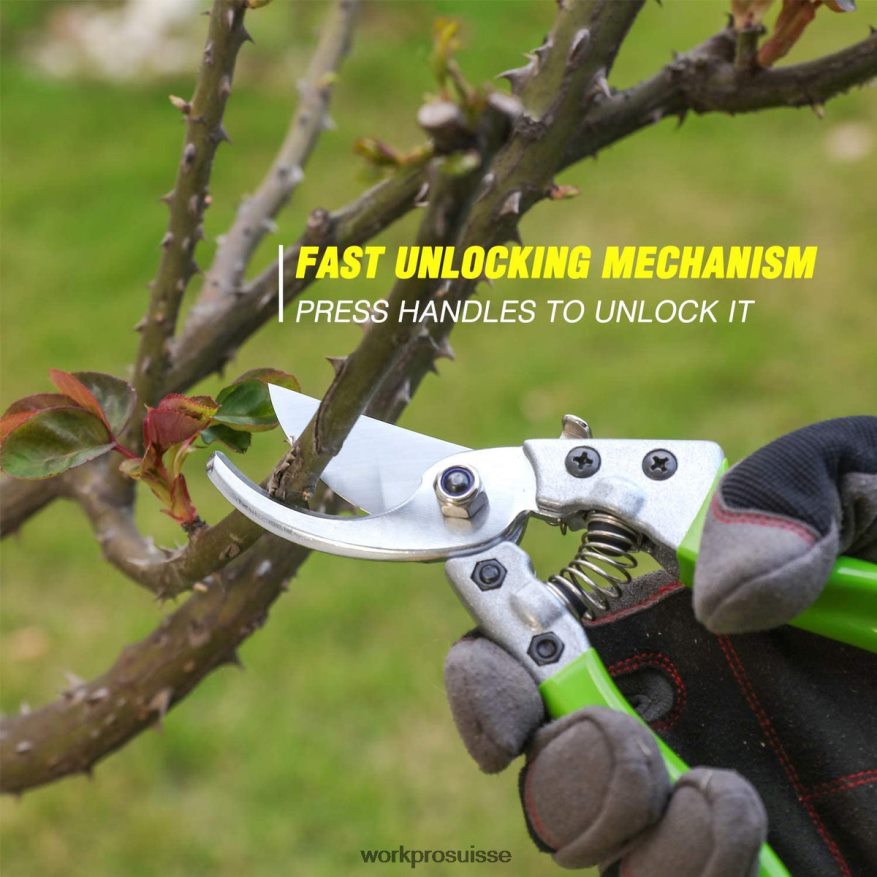 Ensemble d'outils de jardin robustes en acier inoxydable de 7 pièces Z2LXTF274 morden WORKPRO outil