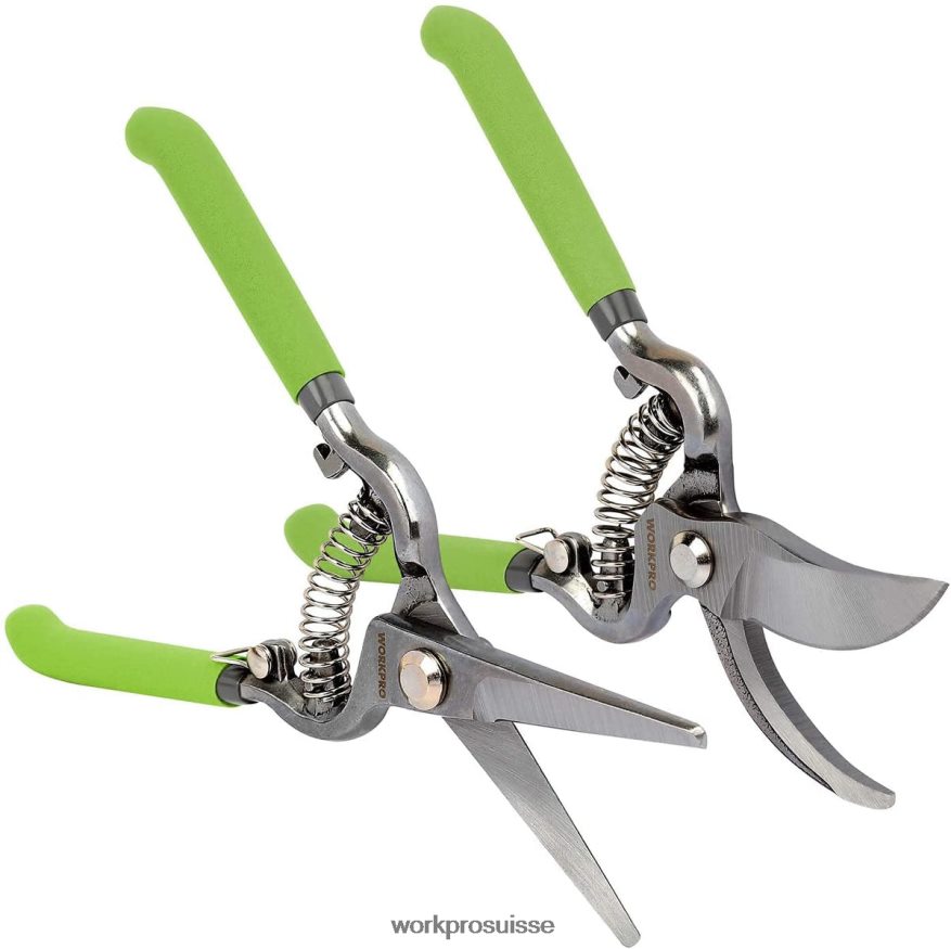 Ensemble de 2 sécateurs avec lame droite en acier Z2LXTF271 utile WORKPRO outil