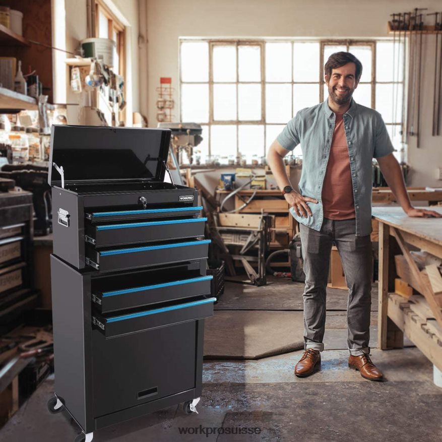 Coffre à outils roulant à 5 tiroirs, armoire de rangement pour outils roulants à tiroir métallique coulissant Z2LXTF18 utile WORKPRO stockage