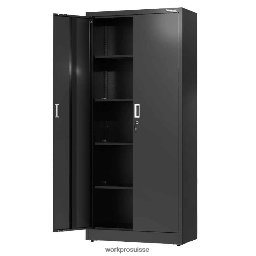 armoire de rangement, armoires de garage en métal avec portes et étagères Z2LXTF22 morden WORKPRO stockage