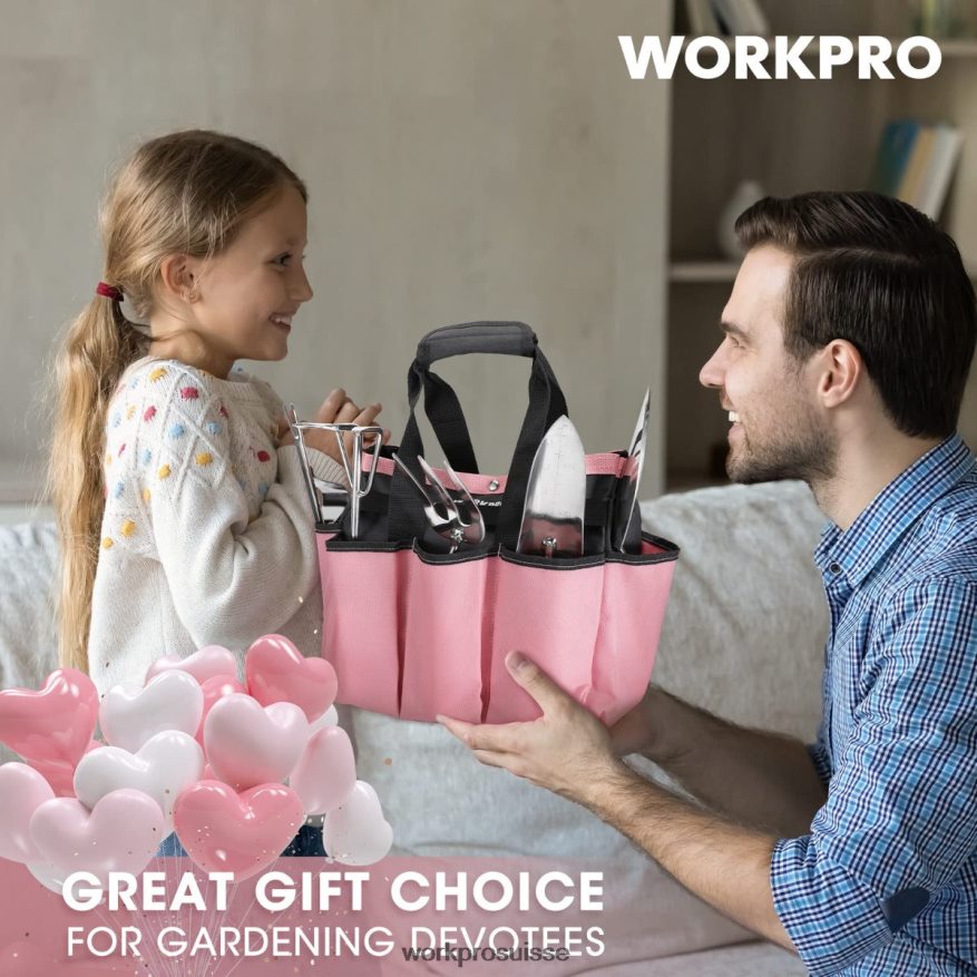 Ensemble d'outils de jardinage 7 pièces, outils de jardinage robustes en acier inoxydable Z2LXTF252 rose WORKPRO outil